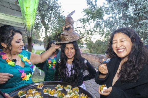 4e6dd21e-84bc-4674-816f-3c675b0b6df3