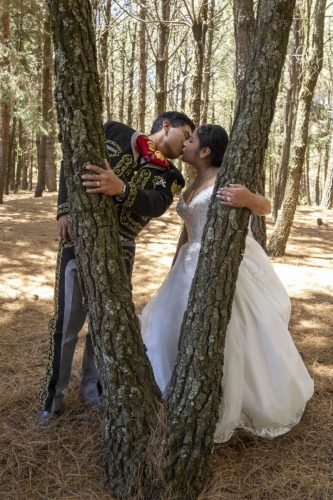 8d66187d-4031-49bc-84a6-bbb89cbce4bd